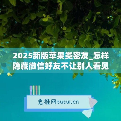 2025新版苹果类密友_怎样隐藏微信好友不让别人看见又可以聊天(苹果微信怎么隐藏好友)