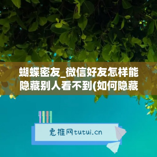 蝴蝶密友_微信好友怎样能隐藏别人看不到(如何隐藏vx好友)