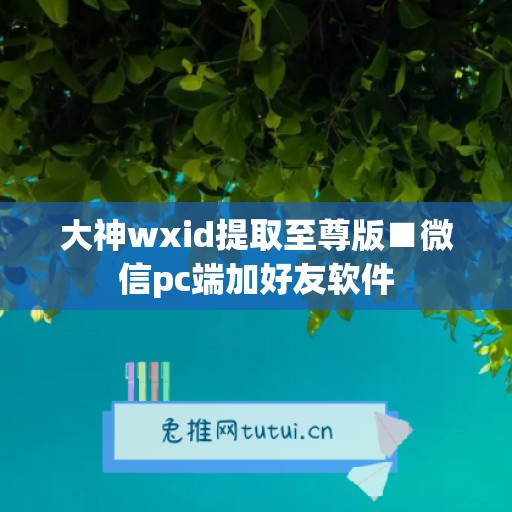 大神wxid提取至尊版■微信pc端加好友软件