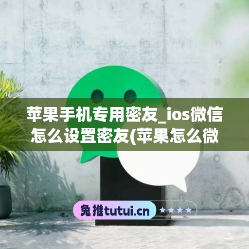 苹果手机专用密友_ios微信怎么设置密友(苹果怎么微信弄密友设置)