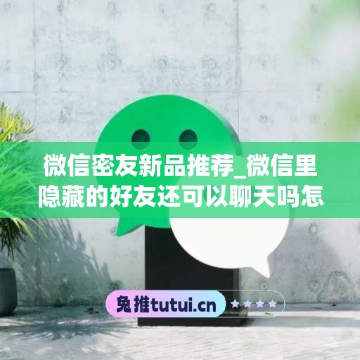 微信密友新品推荐_微信里隐藏的好友还可以聊天吗怎么设置(微信新功能隐藏好友)