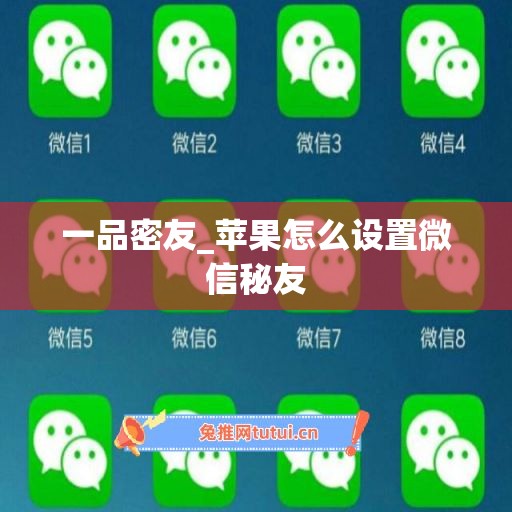 一品密友_苹果怎么设置微信秘友