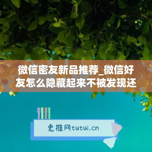 微信密友新品推荐_微信好友怎么隐藏起来不被发现还能收到信息呢