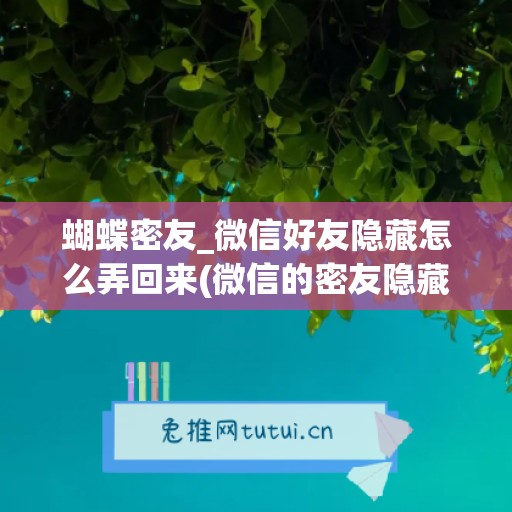 蝴蝶密友_微信好友隐藏怎么弄回来(微信的密友隐藏)