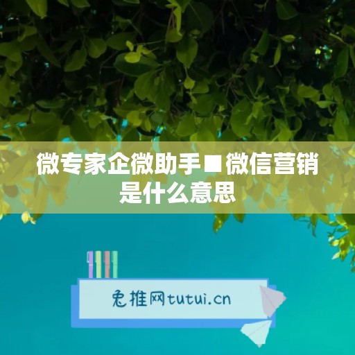 微专家企微助手■微信营销是什么意思