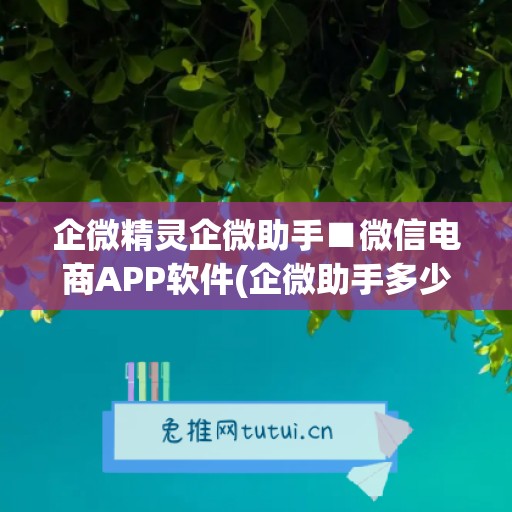 企微精灵企微助手■微信电商APP软件(企微助手多少钱)