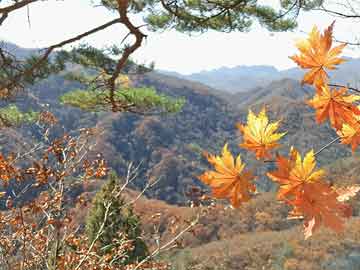 苹果分身魔变支持发本地大视频么(分身大师在苹果手机可以用吗)